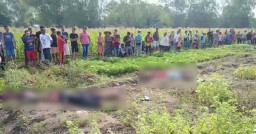 Jebakan Tikus, Sengat Satu Keluarga di Bojonegoro