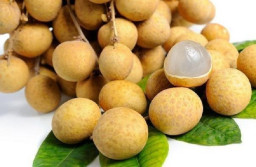 Buah Tropis Penangkal Penuaan Hingga Katarak