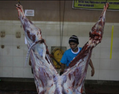 Sambut Idul Adha, PD RPH Siapkan 80 Orang Tukang Jagal