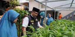 Wujudkan Kemandirian Pangan, Pemkot Batu Canangkan Program P2L