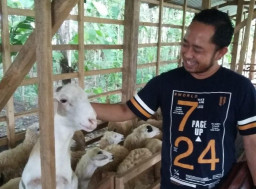 Bacabup Tuban Adi Widodo, Siapkan Program Pengembangan Food Estate