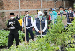 Pemprov Jatim Siapkan Kampung Tangguh Untuk Hadapi PPKM Mikro