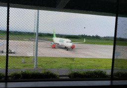 Erupsi Gunung Raung, Tujuh Penerbangan Terdampak