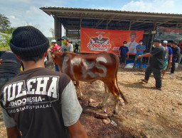 PKS Tebar Ratusan Ribu daging kurban Bantu Kesulitan Masyarakat