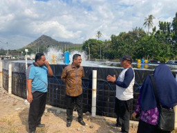 Di Situbondo, Anwar Sadad Ajak Anak Muda Tidak Malu Bisnis Tambak Udang Vaname