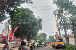 DLH Kota Pasuruan Pangkas Pohon Perindangan yang Rawan