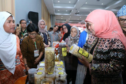 Transaksi Misi Dagang dan Investasi Jatim - Bengkulu Tembus Rp192,69 M