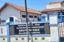 Limbah Kotoran Sapi Meresahkan Warga Kajuk