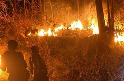 Lahan Seluas 5 Hektar di Hutan Gunung Bungkuk Magetan Terbakar, Dipicu Cuaca Panas