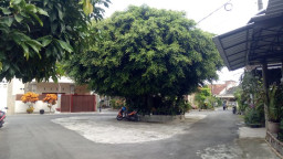 Perum BTN ASABRi Gedog Kecamatan Sananwetan Kota Blitar Melaksanakan Program RT Keren dengan Berbagai Program Nyata