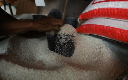 Harga Beras Medium dan Premium Masih Diatas HET Yang Diatur Pemerintah