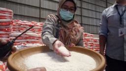 Stok Aman, Bulog Siap Salurkan BSB Dua Alokasi