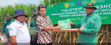 Dirjen Perkebunan Serahkan 180 Ribu Benih Tebu ke Petani Pasuruan