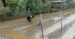 Puluhan Rumah dan Lahan Warga Tulungagung Terendam Banjir