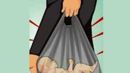 Ditemukan Jasad Bayi di Jalanan, Dibuang Orang Lalu Dilindas Kendaraan