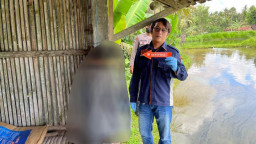 Idap Penyakit Hernia Menahun, Pria Paruh Baya Nekat Gantung Diri