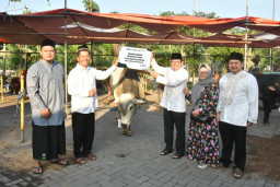 Petrokimia Gresik Salurkan Hewan Kurban Senilai Rp882,6 Juta