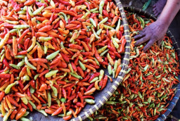 Harga Bahan Pangan Naik, Pemkab Sumenep Belum Berencana Gelar Operasi Pasar