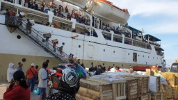 Calo Tanjung Perak Masih Berkeliaran