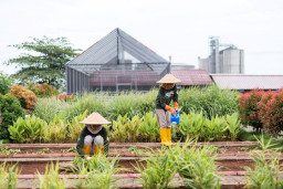 Semen Gresik Raih Predikat Terbaik Penghargaan Good Mining Practice 2023