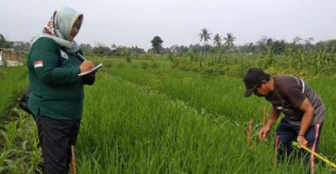 Genjot Pendapatan, BPS Lumajang Akan Sensus Sektor Pertanian