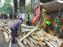 Tabrak Tiang Penyangga Jembatan, Truk Muat Kayu Gelondongan Terguling