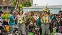 Berkonsep Pesta Kebun, Pasangan Anjing Jojo Luna Gelar Pernikahan Capai Rp200 Juta