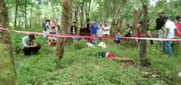 Cari Pakis di Perkebunan, Lansia Ditemukan Tewas Tertelungkup