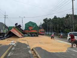 Truk Muat Jagung Terguling di Jalur Nasional Trowulan Mojokerto