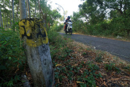 Setelah Mangkrak Bertahun-tahun, JLU Bakal Digarap Lagi