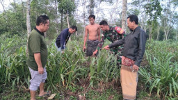 Jelang Tahun Baru 2024, Bayi Perempuan Ditemukan Dibuang di Pekarangan Rumah Warga
