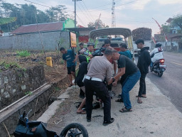 Lagi, Kecelakan Adu Banteng Terjadi, Pria Paruh Baya Tewas di TKP