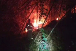 Lahan Hutan Gunung Pegat Seluas 1,5 Hektar di Blitar Terbakar, Gegara Musim Kemarau