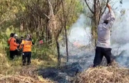 Taman Nasional Bromo Tengger Semeru Kebakaran Dampak Musim Kemarau