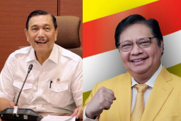 Luhut Punya Harta Rp 745 M, Airlangga Rp 260 M