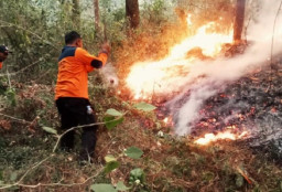 Kawasan Gunung Lawu Sudah Tiga Kali Terbakar, Kini Meluas Hingga Wilayah Magetan