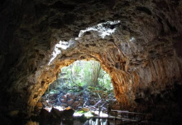 Terowongan Makam di Mojokerto, Jalur Misterius Menuju Kerajaan Majapahit