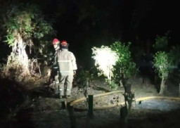 Area Pemakaman di Bojonegoro Terbakar, Diduga Akibat Pembakaran Daun Kering