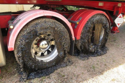 Suhu Panas Ekstrem di India Capai 46,1 Derajat Celcius, Jalanan Aspal Meleleh Hingga Kebakaran Hutan