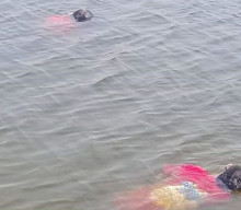 Dua Bocah Asal Lamongan Ditemukan Tewas Terapung di BGS