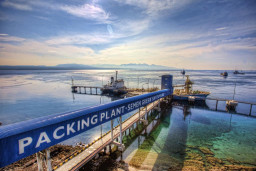 Era Pandemi, SIG Masih Catatkan Kenaikan Laba Bersih 19,1%