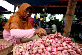 Meroketnya Harga Bawang Merah di Ponorogo