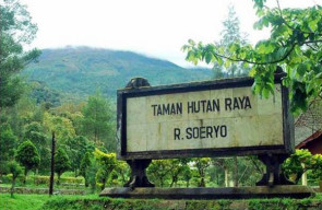 Nilai Efektivitas Tahura R Soerjo Jatim Tertinggi se-Indonesia