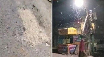 Fenomena Unik: Ribuan Cacing Jatuh dari Langit India, Penduduk Heboh dan Bingung