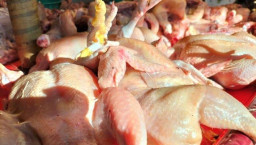 Harga Daging Ayam di Sumenep Melonjak