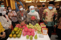 Baca juga : Jatim Gelar Misi Dagang bersama 3 Provinsi Secara Hybrid