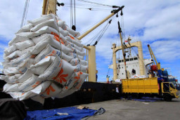 Soal Kebijakan Impor 1 Juta Ton Beras, Ini Kata Pakar Ekonomi