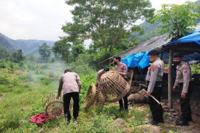 Arena Sabung Ayam di Situbondo Digerebek Polisi