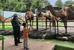 Marak Jukir Liar Minta Rp50 Ribu, Target Pengunjung di KBS Tak Capai Target