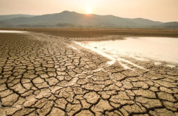 Sebagian Wilayah Jatim, Tahun 2024, Berisiko Kekeringan